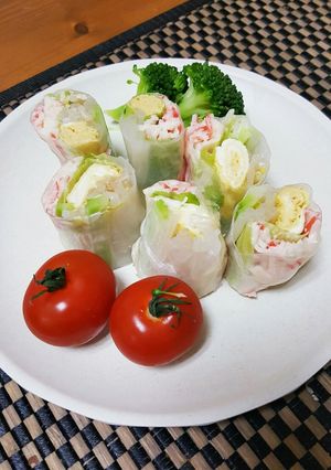 節約☆もやしとカニカマの生春巻き-レシピのメイン写真