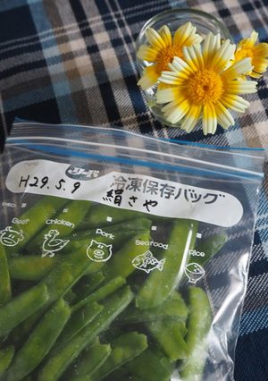 スナップえんどう、絹さやの冷凍保存方法-レシピのメイン写真