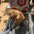 ビア缶チキンだっ!