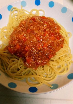 低脂肪低残渣食なミートソースもどき-レシピのメイン写真