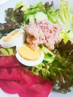サラダうどん-レシピのメイン写真
