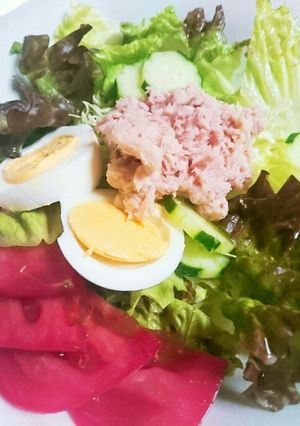 サラダうどん-レシピのメイン写真