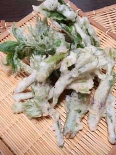 山ウドの栄養の宝庫、穂先でてんぷらを!!-レシピのメイン写真