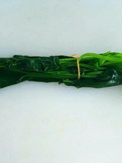 ほうれん草の茹で方-レシピのメイン写真