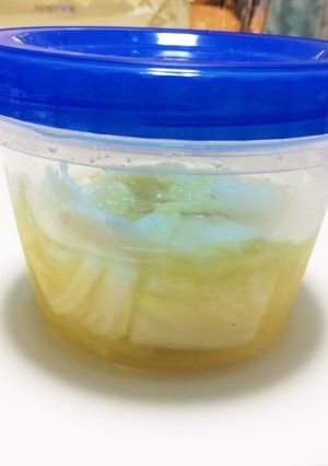 白菜のピクルス-レシピのメイン写真