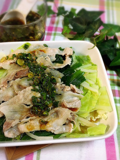 豚肉と春キャベツのレンジ蒸し☆葱だれかけ-レシピのメイン写真