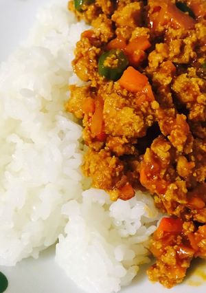高野豆腐のキーマカレー-レシピのメイン写真