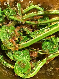 こごみの胡麻醤油おかか和え-レシピのメイン写真