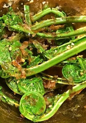 こごみの胡麻醤油おかか和え-レシピのメイン写真