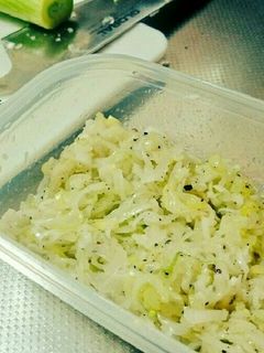 万能☆簡単ネギ塩だれ-レシピのメイン写真