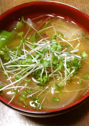 お一人様用☆簡単具たくさん味噌汁-レシピのメイン写真