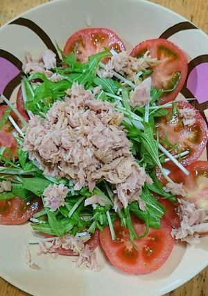 さっぱり♪トマトと水菜のカンタン夏サラダ-レシピのメイン写真