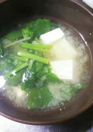 簡単!だしの素で作る三つ葉と豆腐の味噌汁-レシピのメイン写真
