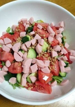 大豆のお肉のチョップドサラダ-レシピのメイン写真