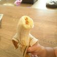 バナナにシナモン