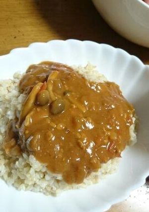 大豆のお肉のキーマカレー-レシピのメイン写真