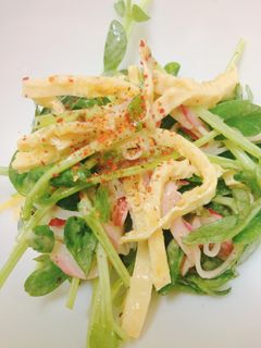 豆苗のサラダ-レシピのメイン写真