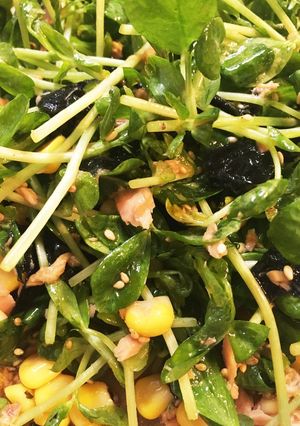 豆苗サラダ-レシピのメイン写真