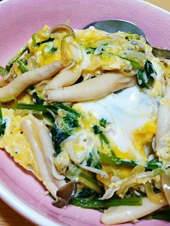 ネギとシラスとほうれん草としめじ丼-レシピのメイン写真