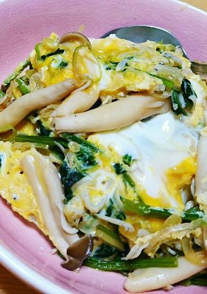 ネギとシラスとほうれん草としめじ丼-レシピのメイン写真