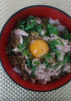 手抜き出し要らず大盛ライトツナ納豆丼-レシピのメイン写真