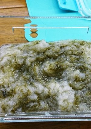 ヘルシーガゴメ昆布大根おろしダイエット-レシピのメイン写真