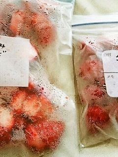 いちごの保存-レシピのメイン写真