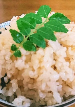 簡単うまうま烏賊の塩辛ご飯-レシピのメイン写真