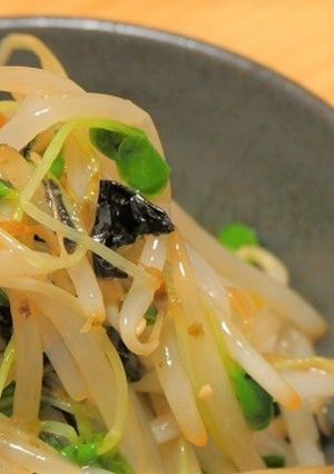 もやしとカイワレ大根の韓国風ナムル-レシピのメイン写真