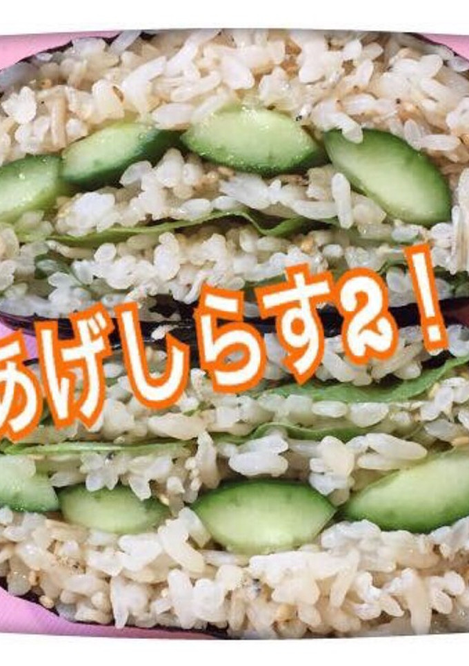 釜揚げしらすのと大葉の胡瓜のおにぎらず-レシピのメイン写真