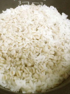 麦飯(麦ごはん)を作る際の水の量-レシピのメイン写真