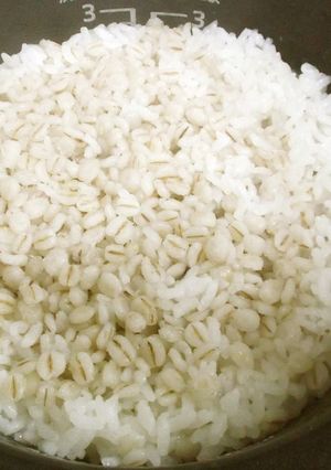 麦飯（麦ごはん）を作る際の水の量-レシピのメイン写真