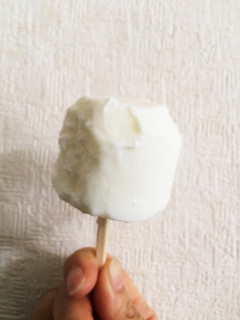 材料一つだけ!ヨーグルトアイス-レシピのメイン写真