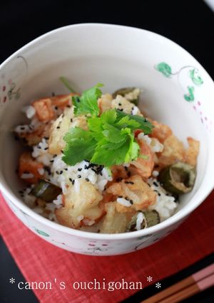 ザクザク＊塩天丼-レシピのメイン写真