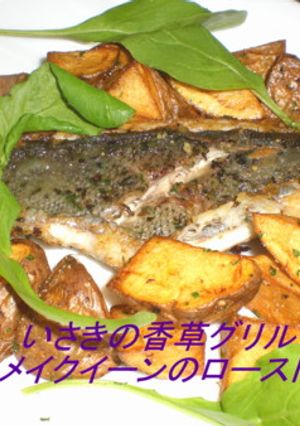 いさきの香草グリル-レシピのメイン写真