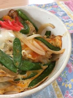 簡単ヘルシー♡絹さやと新玉ねぎの卵とじ丼-レシピのメイン写真