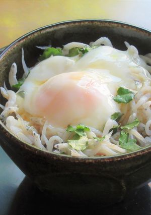 【 木の芽の香りがふわっ！しらす温玉丼】-レシピのメイン写真