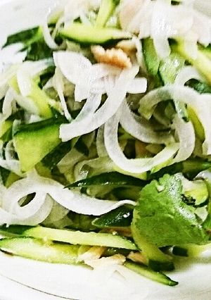 新玉ねぎときゅうりとパクチーのサラダ-レシピのメイン写真