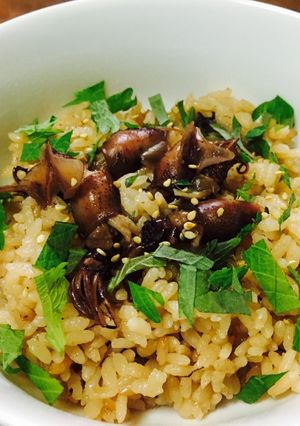簡単！ホタルイカの炊き込みご飯-レシピのメイン写真