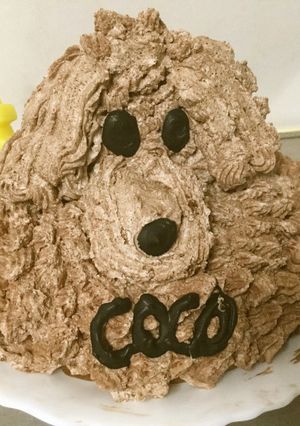 トイプードルのケーキ-レシピのメイン写真
