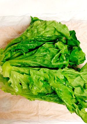 葉物野菜・ハーブの超☆長持ち保存方法-レシピのメイン写真