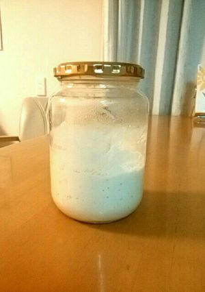 レーズン酵母で元種作り-レシピのメイン写真