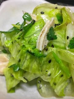 簡単&美味 パクチーレタスのサラダ-レシピのメイン写真
