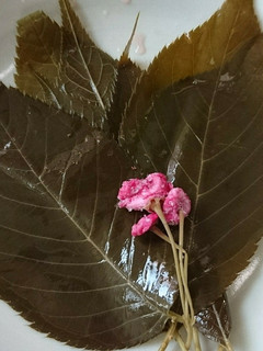 桜の葉の塩漬け-レシピのメイン写真
