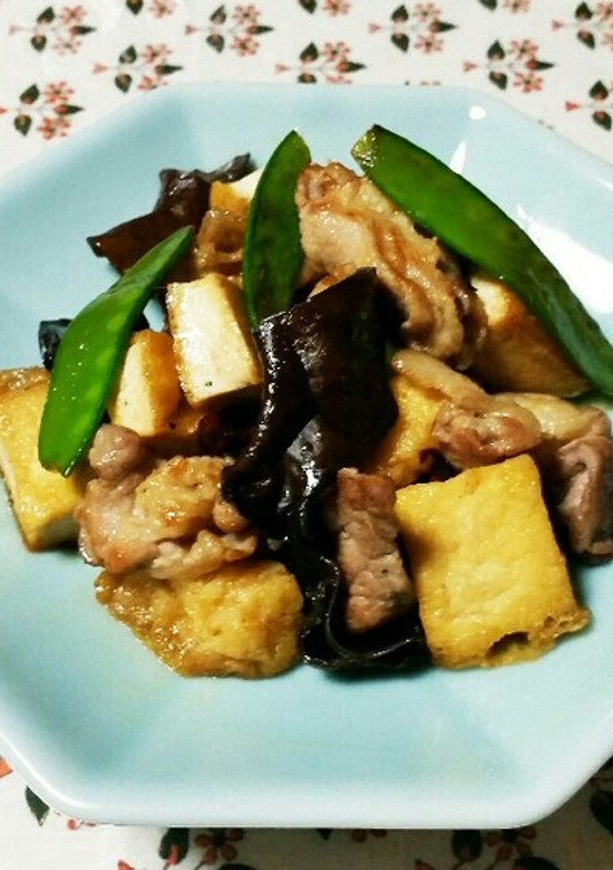 豚肉と厚揚げの中国風炒め煮-レシピのメイン写真