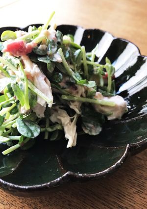 節約ヘルシー☆豆苗の梅ごまマヨネーズ-レシピのメイン写真