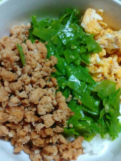 ❇お弁当の定番❗三色そぼろ丼❇-レシピのメイン写真