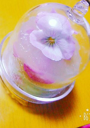 エディブルフラワーの抹茶ババロア-レシピのメイン写真