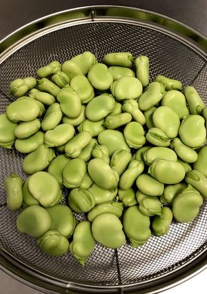 新鮮なままで！空豆の冷凍方法-レシピのメイン写真
