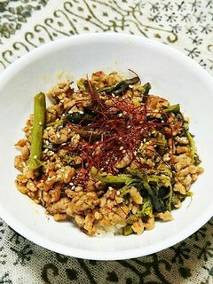 ワラビとひき肉のピリ辛丼-レシピのメイン写真